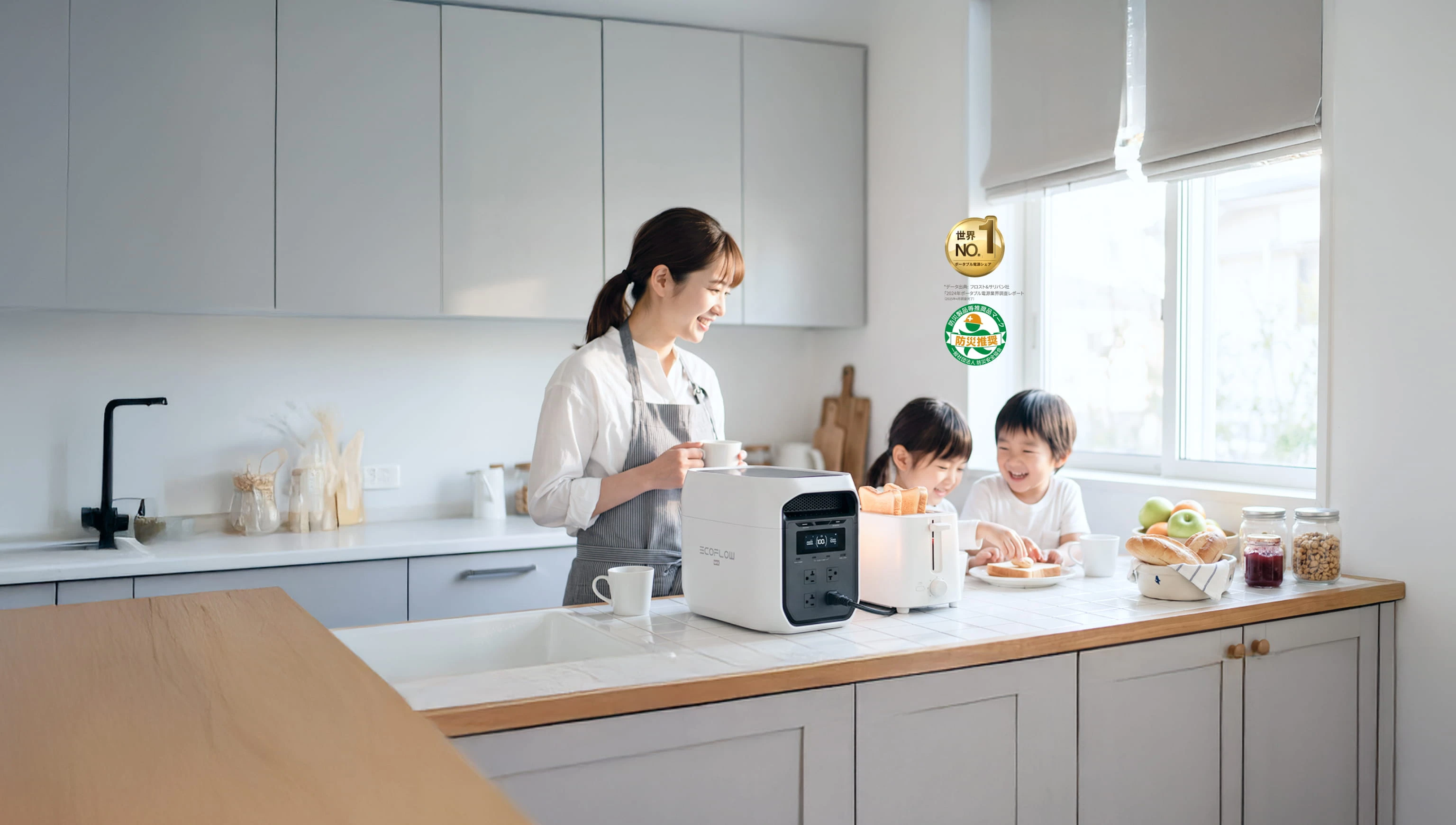 EcoFlow JP | No.1 スマート家庭用蓄電ソリューション | EcoFlow JP